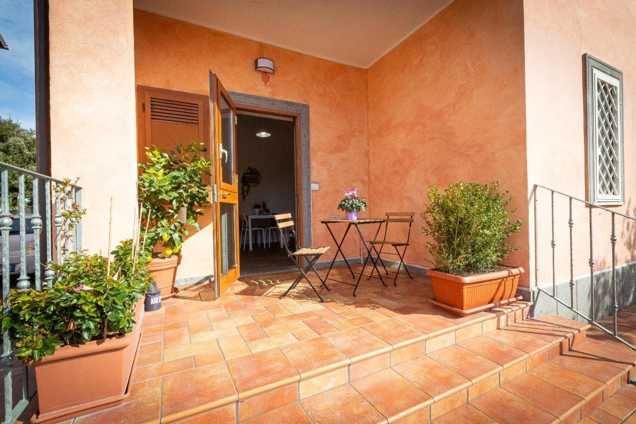Ciaccio House Near Airport Leilighet Fiumicino Eksteriør bilde